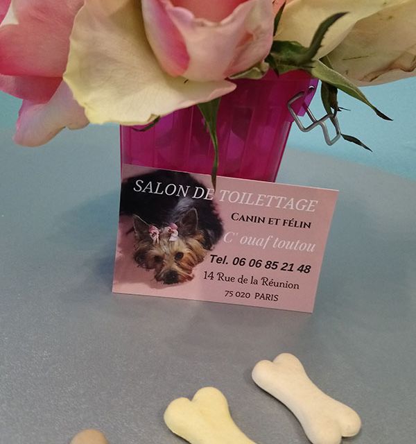 carte de visite salon de toilettage canin