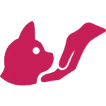 Découvrez mes réalisations
