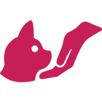 Découvrez mes réalisations